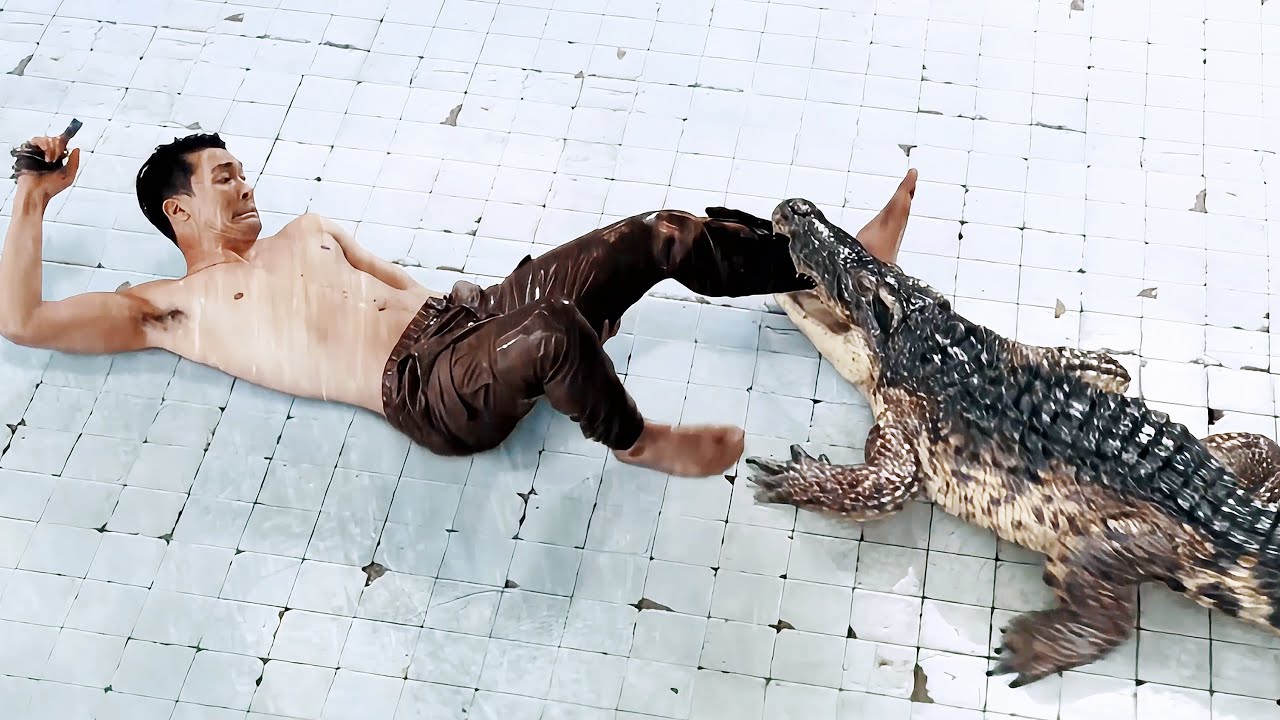 🐊 A Couple Gets Trapped in a 25-Foot-Deep Abandoned Pool… With a Crocodile Inside | Movie Recap
